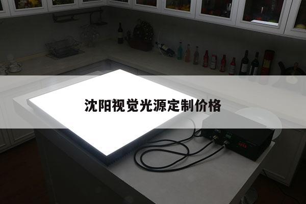 沈陽(yáng)視覺光源定制價(jià)格