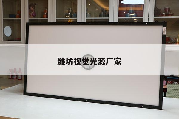 濰坊視覺(jué)光源廠家