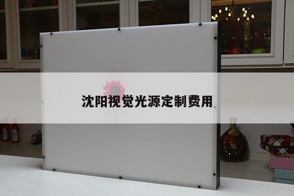 沈陽視覺光源定制費用