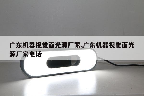 廣東機器視覺面光源廠家,廣東機器視覺面光源廠家電話