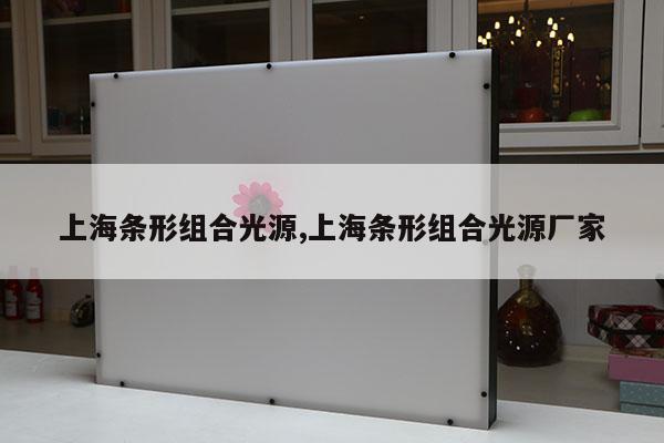 上海條形組合光源,上海條形組合光源廠家