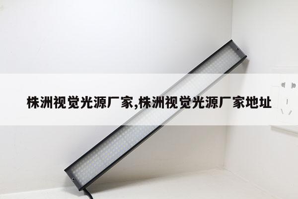 株洲視覺光源廠家,株洲視覺光源廠家地址