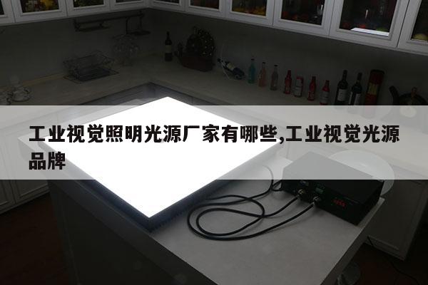 工業(yè)視覺照明光源廠家有哪些,工業(yè)視覺光源品牌