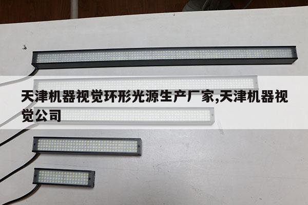 天津機(jī)器視覺(jué)環(huán)形光源生產(chǎn)廠家,天津機(jī)器視覺(jué)公司